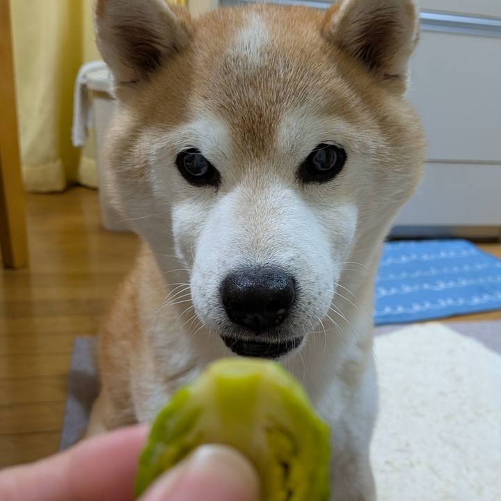 84c429ac 0e6c 4d60 b284 b31e4369fd61 1768739163032