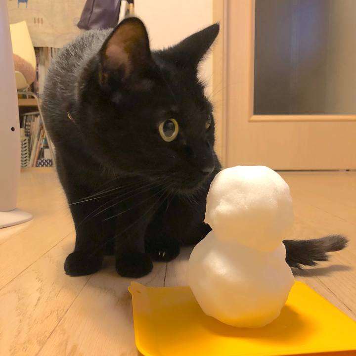 84c43f6e 0d70 4da1 9313 0cea5038f929 1516620444229