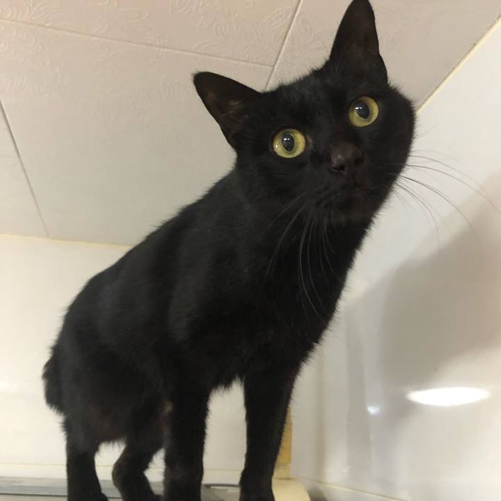 84c44761 2456 4eaf b26f 508b0b90e6f9 1616838933442