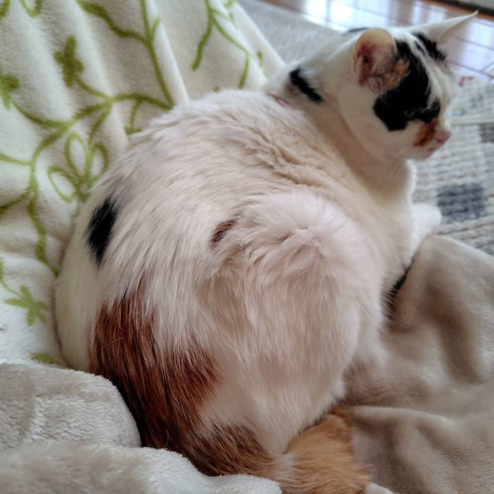 84c45014 9940 4204 af43 f889030a1f12 1737242986029