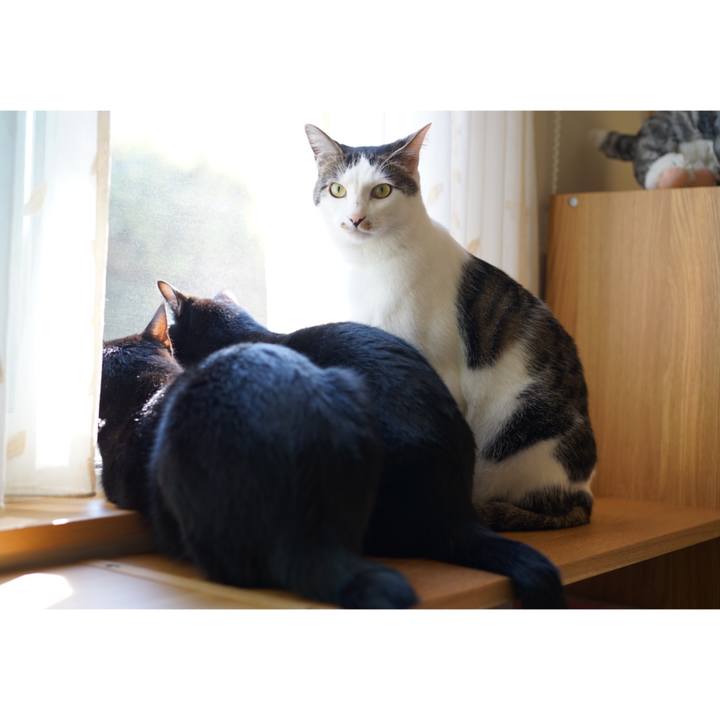 84c46cdc a8df 4485 a1f8 52719de32ded 1557458213733