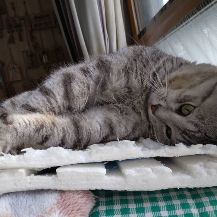 84c472df 8d3c 4682 85ba e3905ca84490 1583206880474