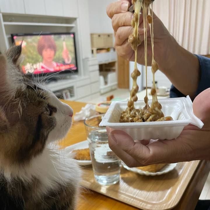 84c4bee5 502a 47ed 8312 c3651c5cd052 1633514438785