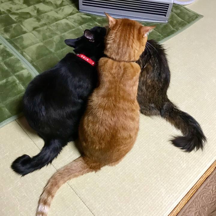 84c502df b804 440c 95f7 10557b1298f3 1518862044989