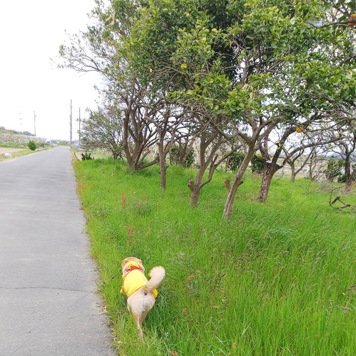 84c53e12 6930 4984 adec 53c110e76a1a 1555218523540