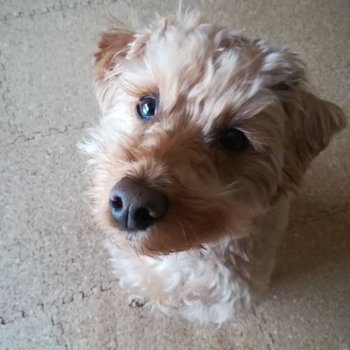 84c550c0 6081 4a83 8c5a c13d10ce8c20 1553638243715