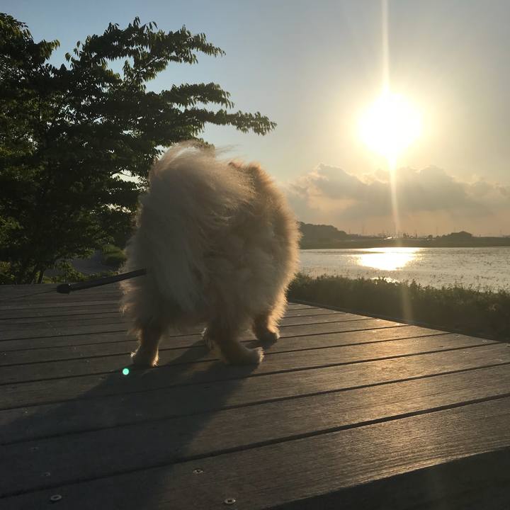 84c55a89 ce69 4e9f a8c5 3f3731fb9b22 1527211420100