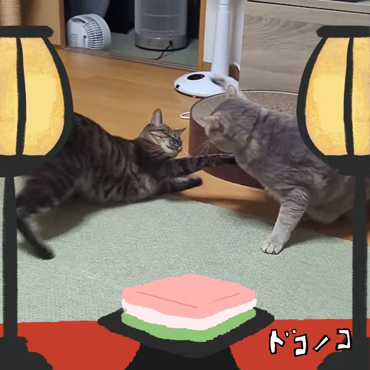 84c5632e c48e 4a46 a2b5 a7a2ea686c7e 1741146289011