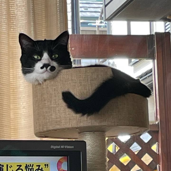 84c56e15 1476 4d5b b098 1fe68280a0e8 1651710203424