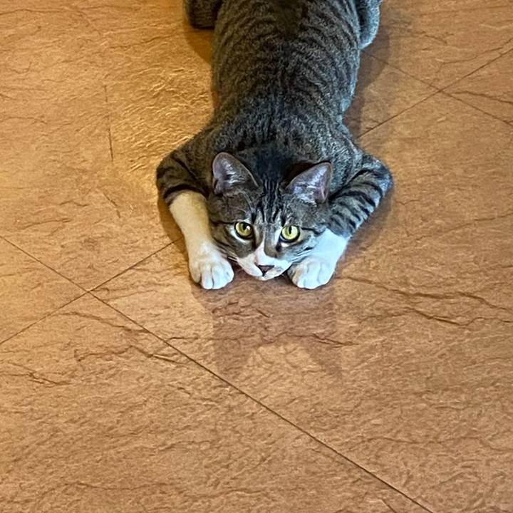 84c584c5 8788 4611 a44d 433276b03c22 1648025984565