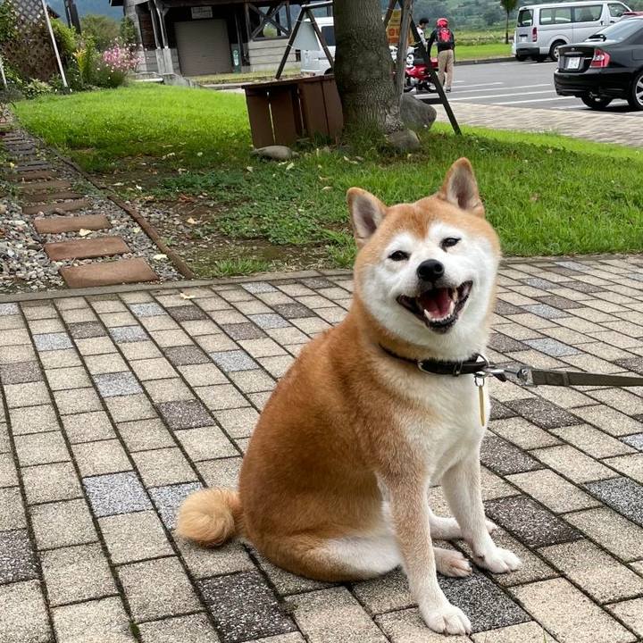 84c5868c ecd5 44c8 b0c2 ca4979ba03f1 1631765839992