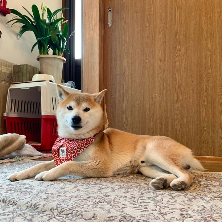 84c5872f 2193 4160 b0ea 997ba067d310 1650539566607