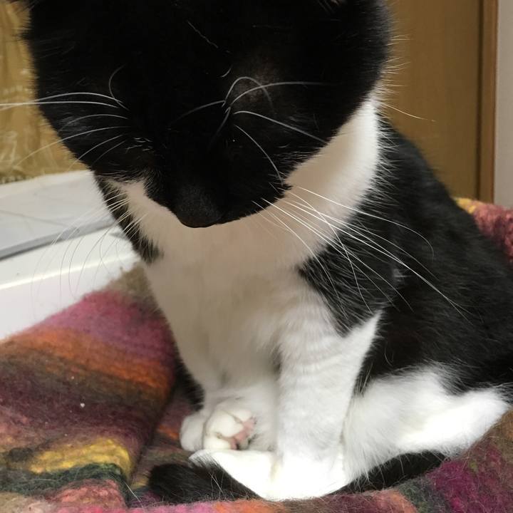 84c5a391 a6f7 4760 be04 b9f79fe9d806 1525259054881