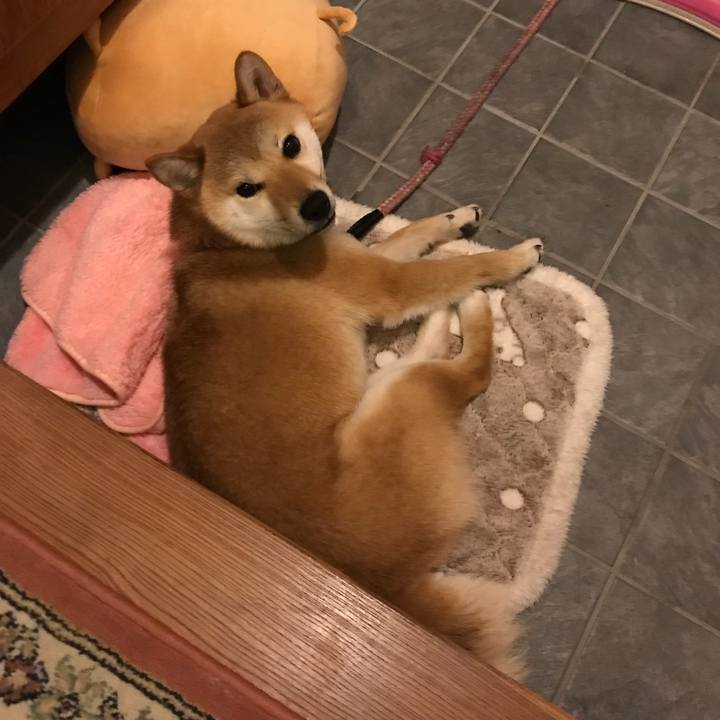 84c5a75c c7c4 4d82 8ba8 ae800aa0065e 1522758498687