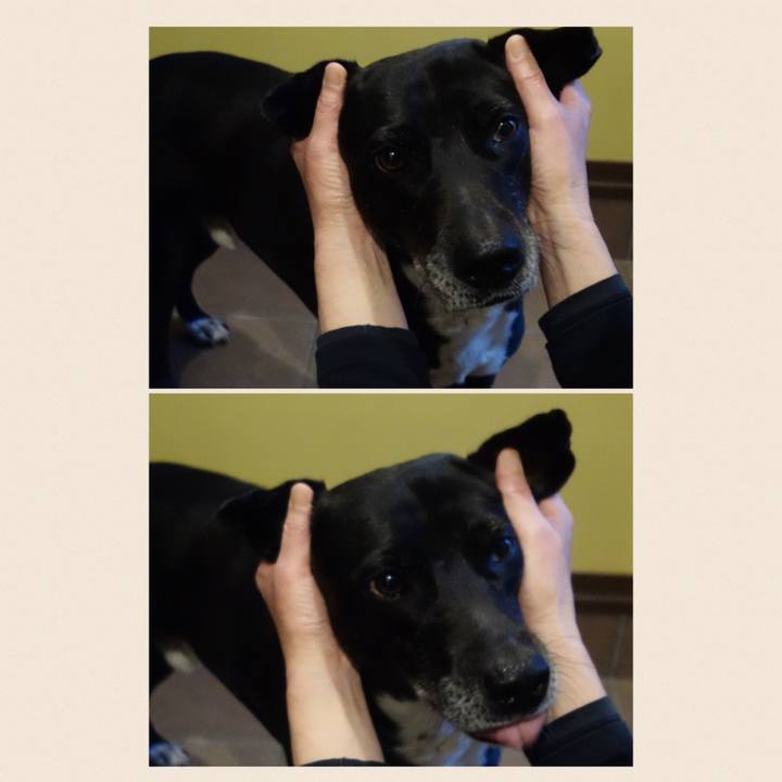 84c5cc39 6082 47e0 a390 3313424454d0 1681125593385