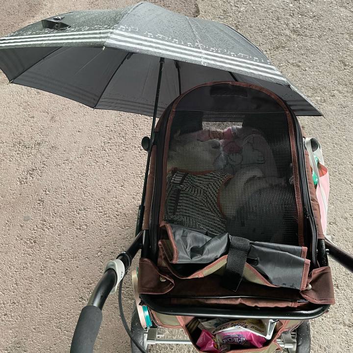 84c5ccb7 b378 44e4 bd88 a7a64f09fa8a 1656851858939