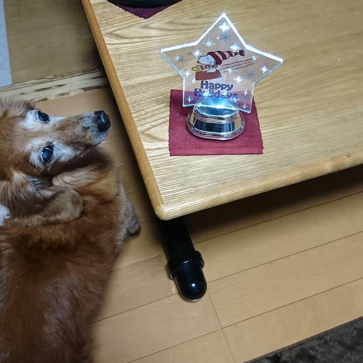 84c6058c 2e9a 43b7 a117 02effccf064f 1545670727675