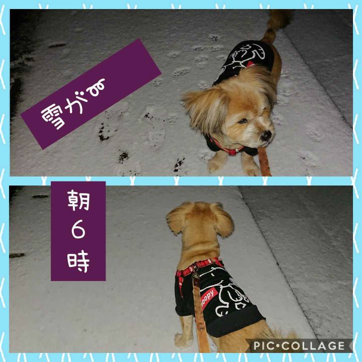 84c62535 70ad 45d0 92e3 16cbee20b6f8 1613599719237