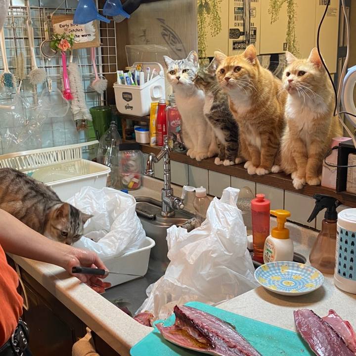 84c626f3 a6b9 4c41 a5f7 86ccf92dc857 1609510742020