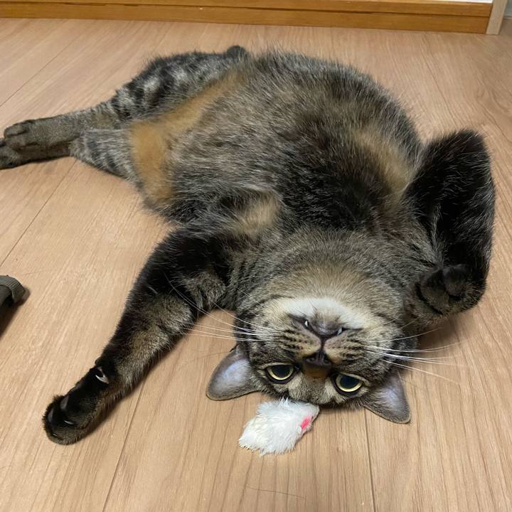 84c652d8 065b 4493 9da0 2599eb3f2798 1687262308730