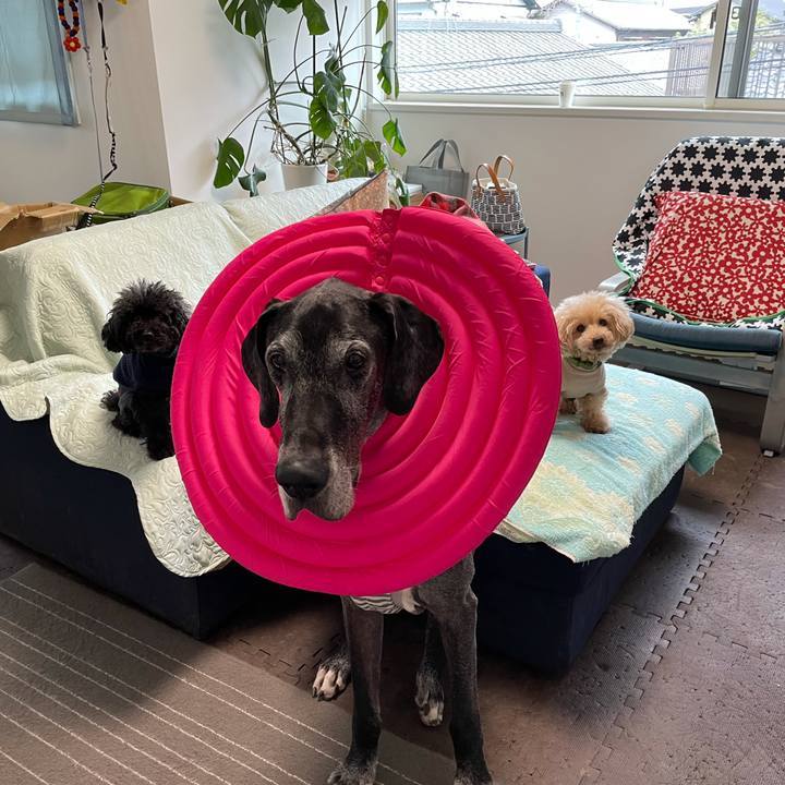 84c672f4 a6e5 4265 8797 7e000db7d972 1635126821287