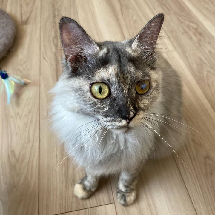 84c67f03 e794 44d6 9a55 dc25b110e197 1726099280112