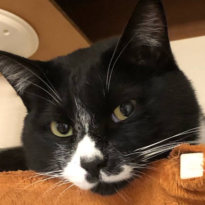 84c6defc 0bc0 484b 8616 9a3501b29622 1575084331677