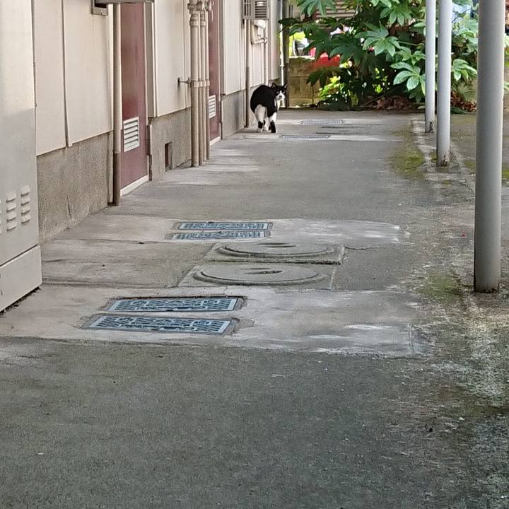 84c6dfc9 d236 4bda 860c 55bd85b4e19f 1623728003371