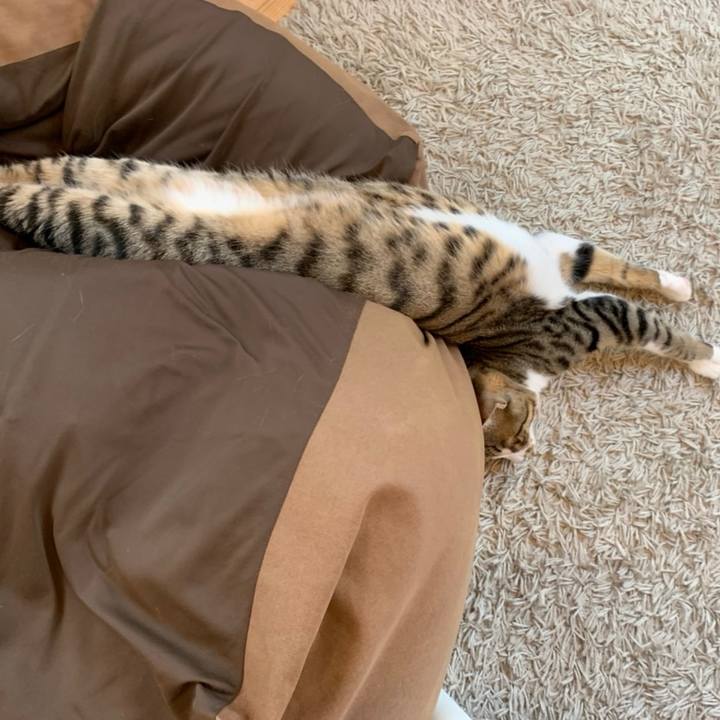 84c6e15b 716c 47fd a617 56c5b240bcff 1589117501103