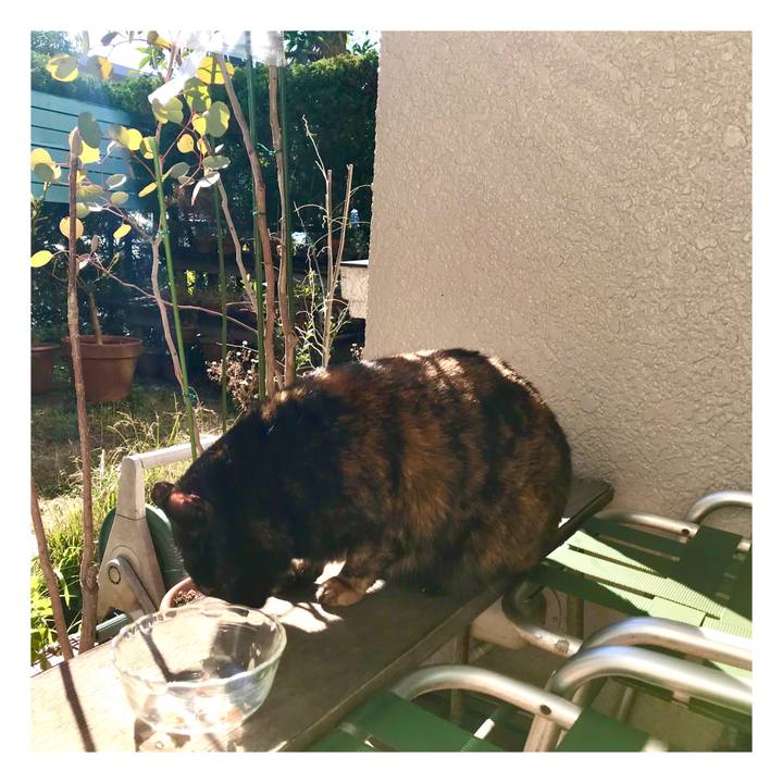 84c6fa9d 3073 4524 896d 633c49bf8fd0 1580270020937