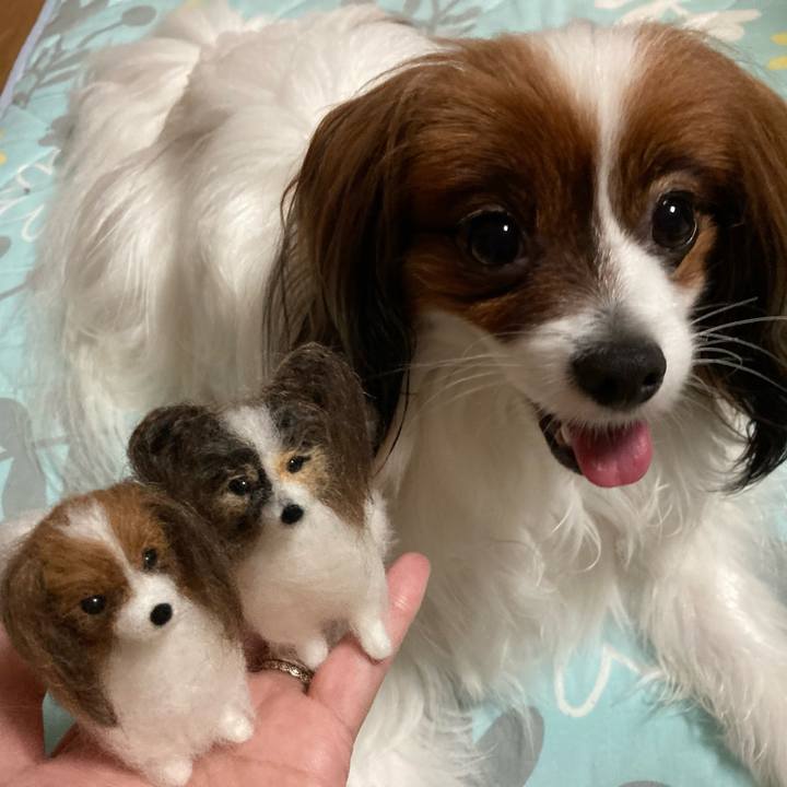 84c6fffe 60fd 4daf 8bf3 198acbb6ee13 1657020416083