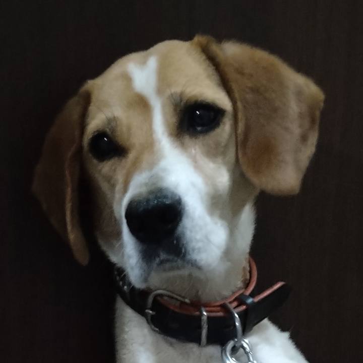 84c705fd 681a 41f4 8cea ab11e06aab6d 1624632431173