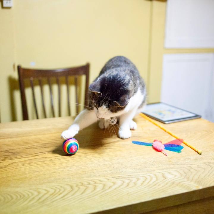 84c70959 5ced 47fd 828a 1d609677de29 1591714423837