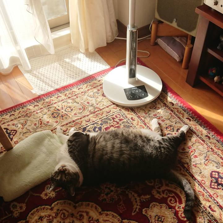 84c75f5b b733 48c9 a17a 3d8bf9e82f9c 1526336589722