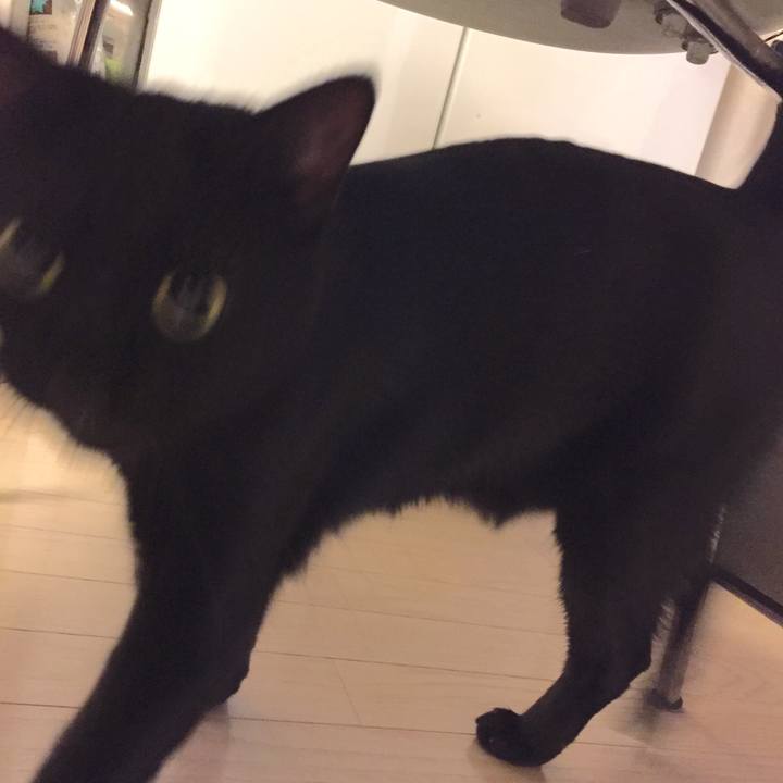 84c78925 83ff 440c 9873 2881eb6816b0 1511878419774