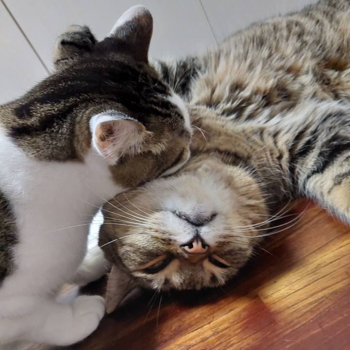 84c7c6d7 23d4 499c a0f5 5a47af71e929 1661605637446