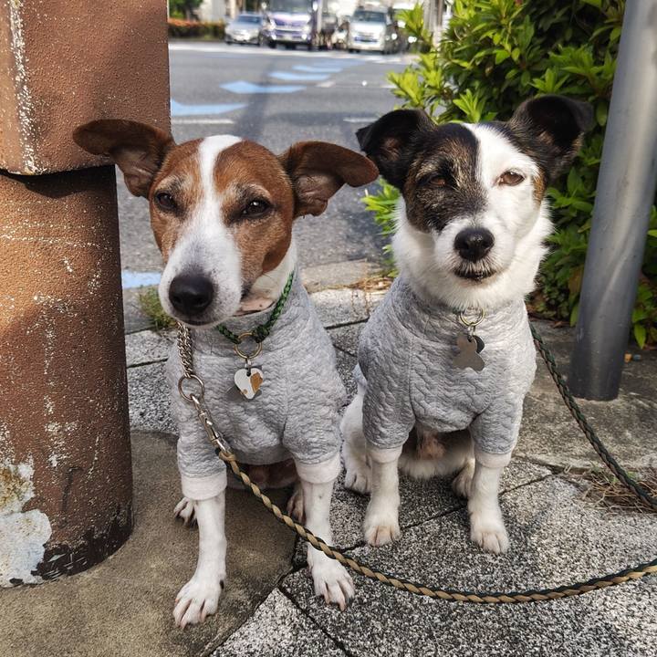 84c8134f 2f6a 4460 b7c7 180c28cc42c1 1747086734988