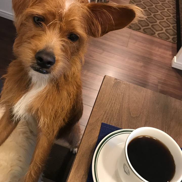 84c822b4 e7be 44f3 ba5e e2ffff930560 1538262502140