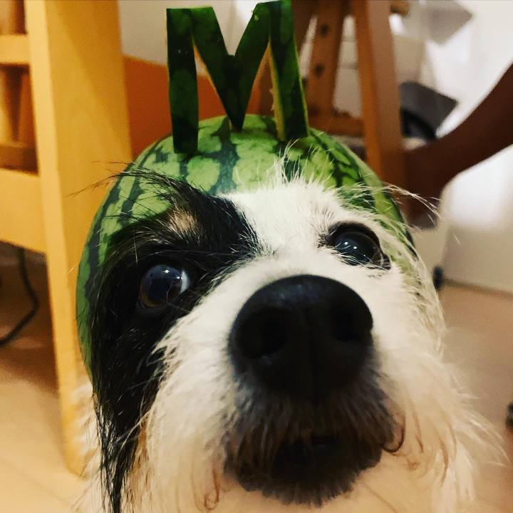 84c8806e 3cf8 4063 befe 80c96672d3e0 1689768030879