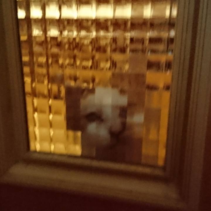 84c88cb9 9a0f 4b33 a005 861d4ecee84a 1600725522853