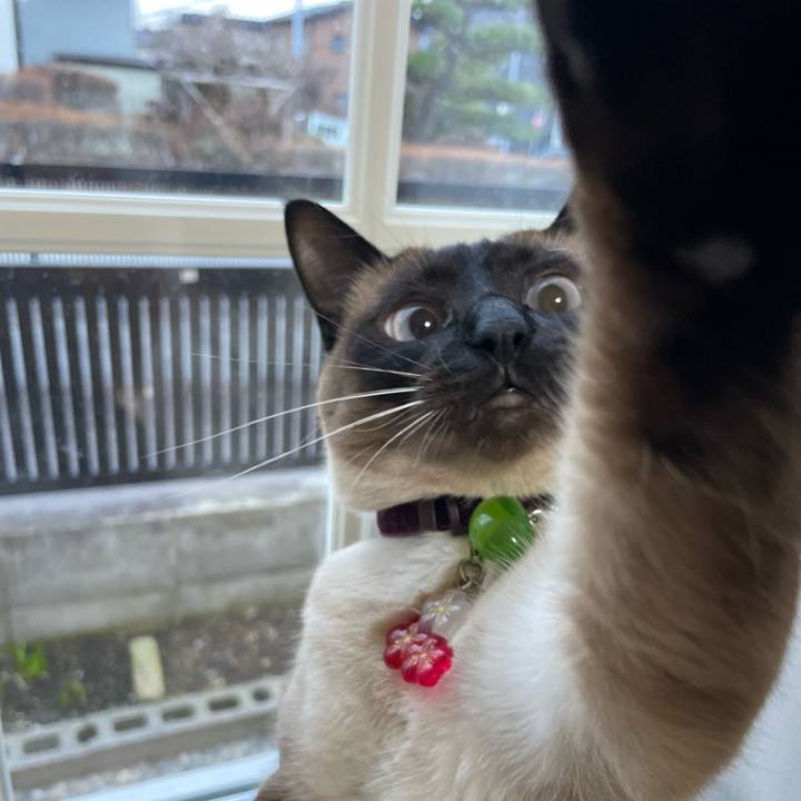 84c891e7 483e 446e abf9 fca70efcbea9 1744923089675