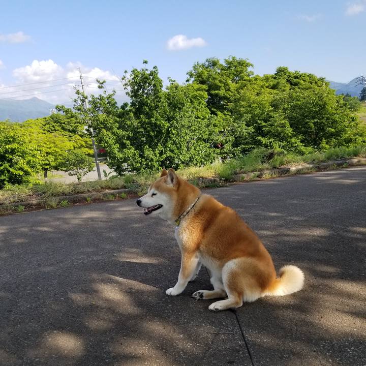 84c8c4b1 8199 41c0 af0c ec7b03f3ef9d 1653289505740