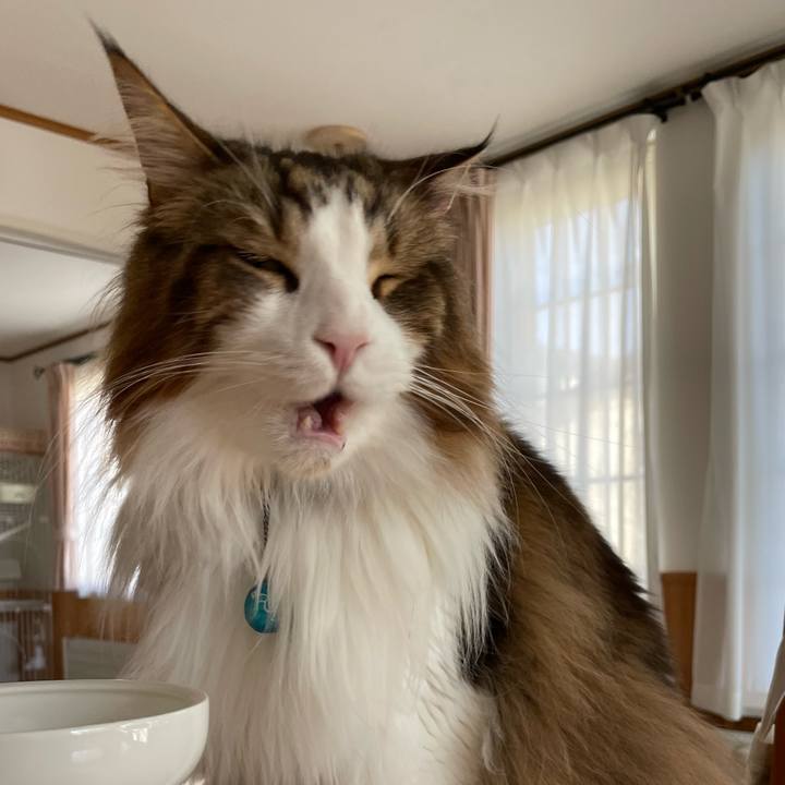 84c8c4f3 c50e 41c8 ba72 d4c9c0a5a027 1714900524504