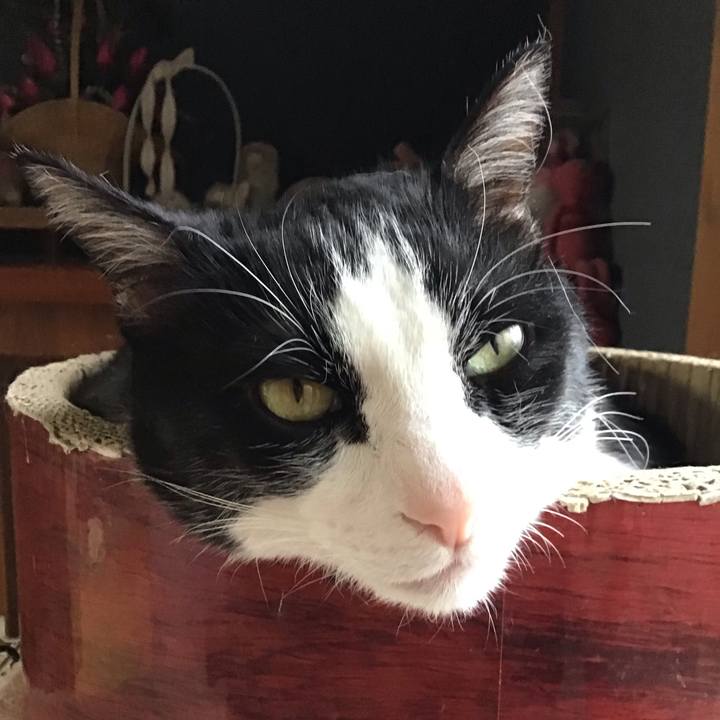 84c8cc2a 943c 48ad 8c7f 55a0f5e60a90 1744106391774