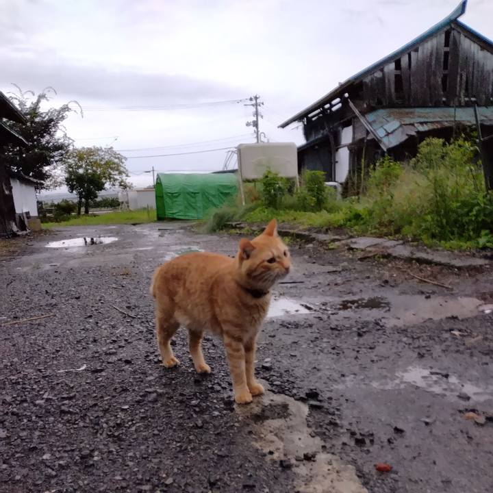 84c90a11 e794 46b9 9e80 b6326701fcc5 1663966409537