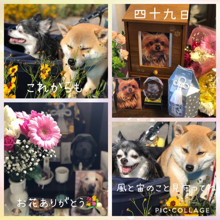 84c91f60 815b 48d2 8ae3 5a8ff7448a34 1558757352914