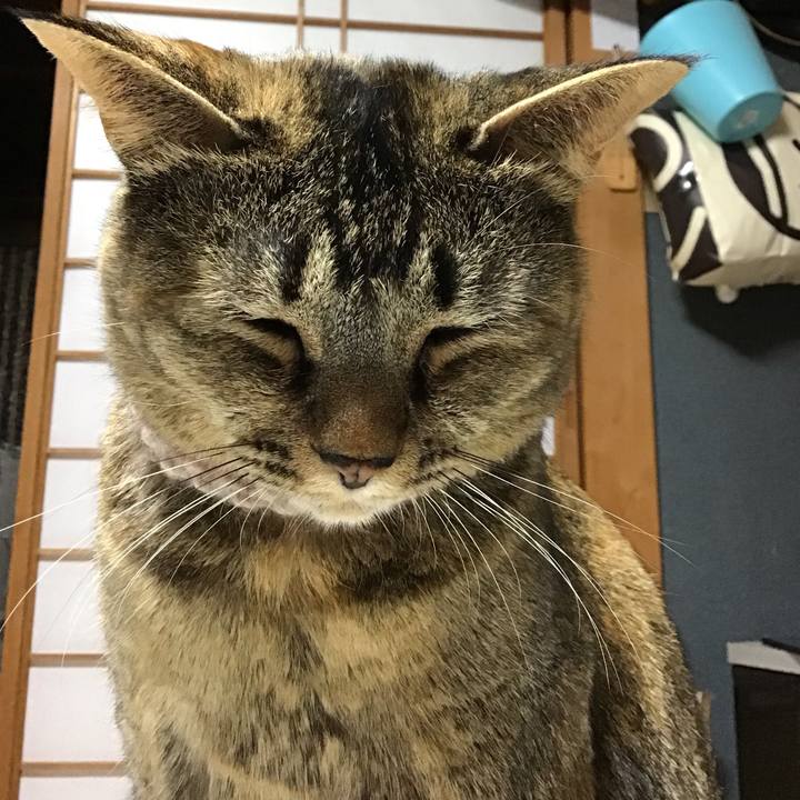 84c93571 87f8 4947 8c07 cb2bd81a0437 1670670729680