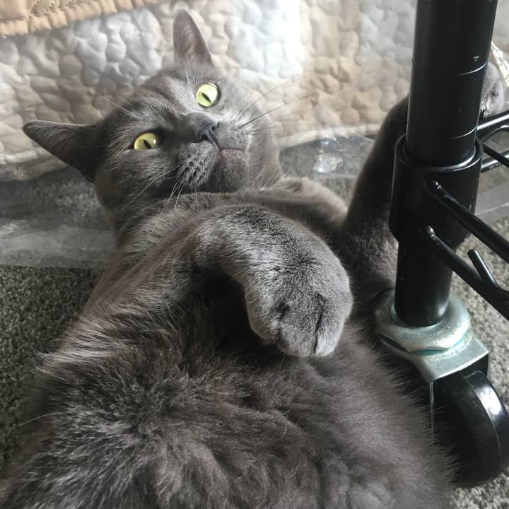 84c96338 2525 4ef2 a539 5b7fa0d7abb9 1674372477442