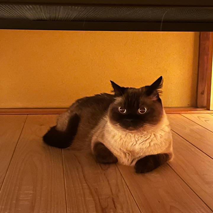 84c976ac 25c5 40d1 82f0 1f01c08f7cbb 1657799908201