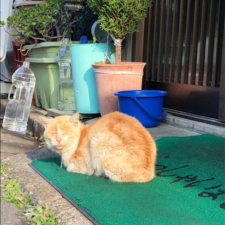 84c987a4 bacd 41c0 8289 3d51f8bbaabe 1553678354658